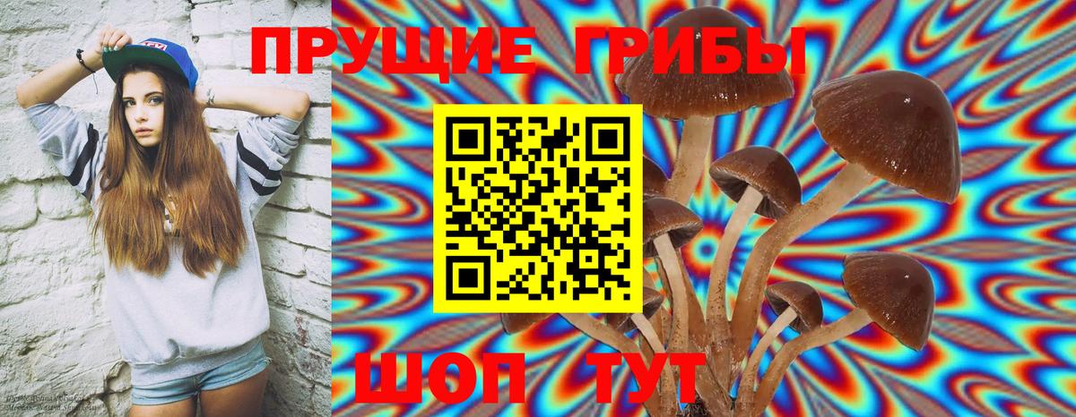 Галлюциногенные грибы Cubensis Миллерово
