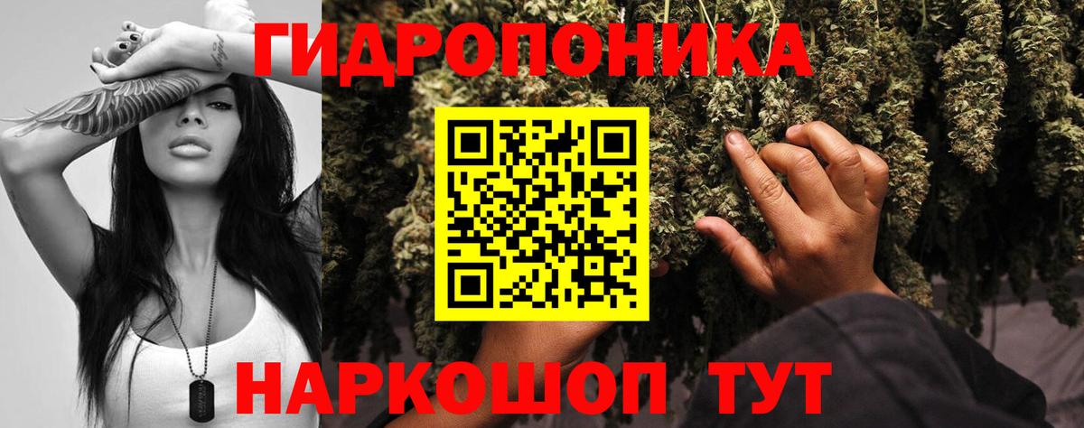 Конопля индика Миллерово